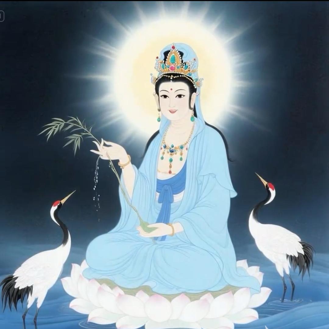 婷姐呀
