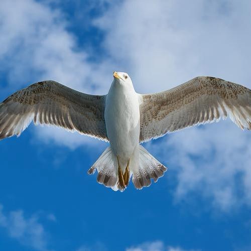 差个百丽上酒吧