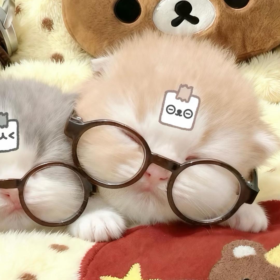 小屁熊