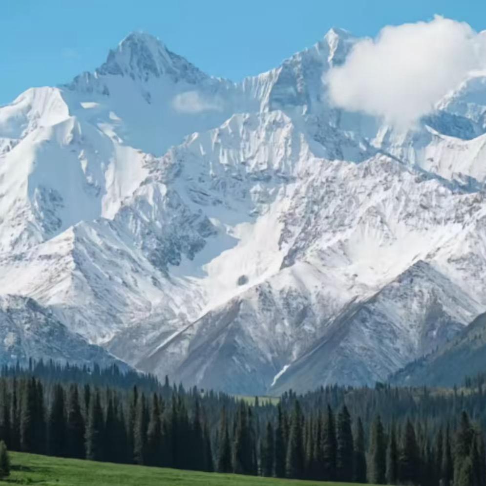 小可爱☺️……