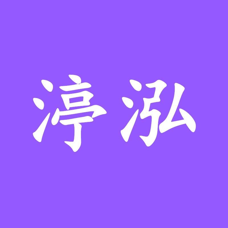 渟泓数码旗舰店