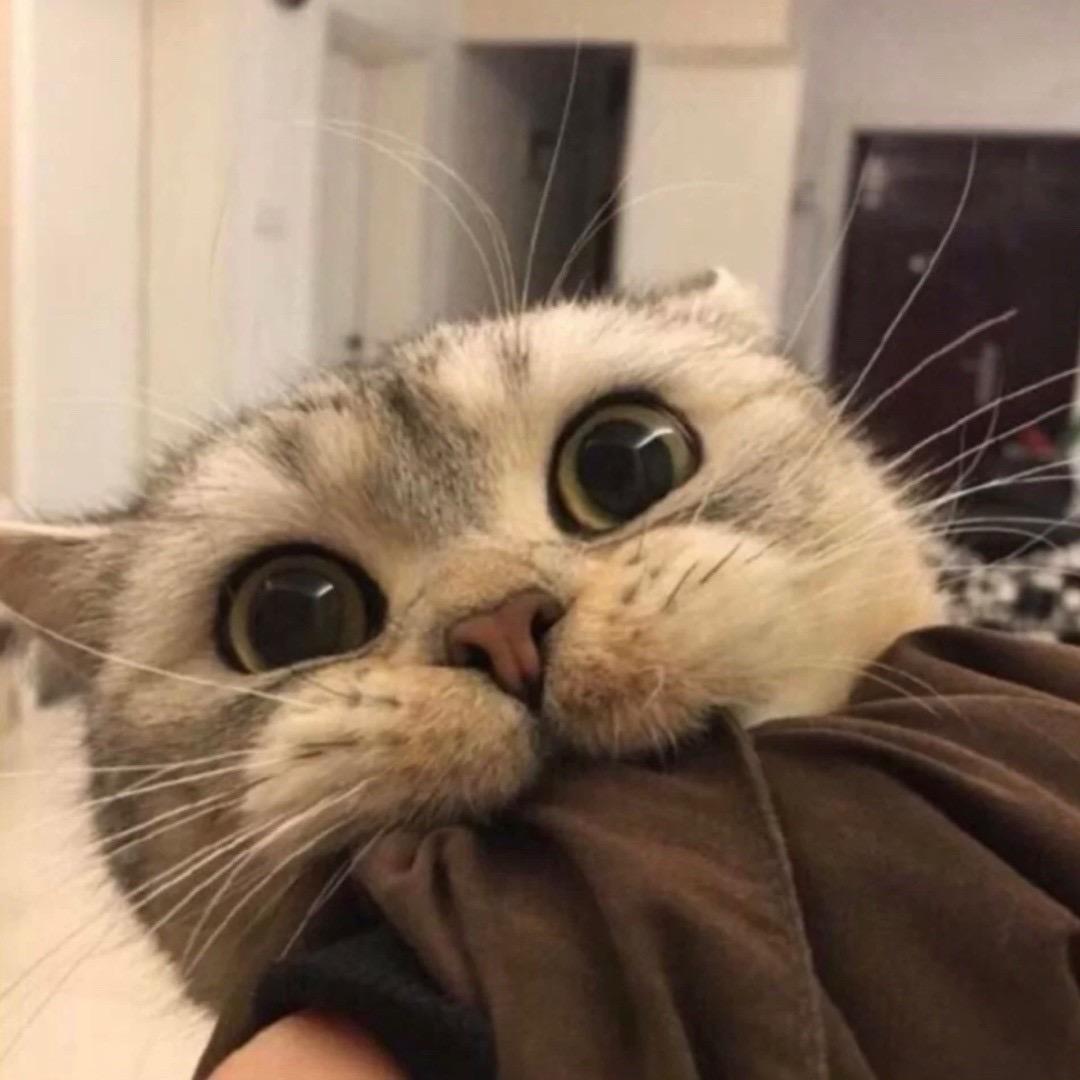 1010