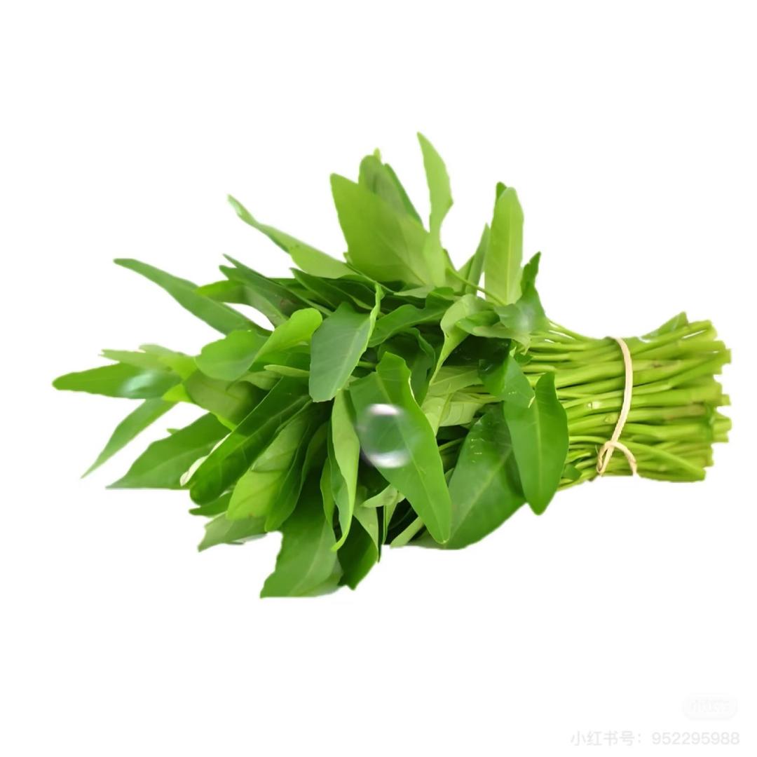 寂寞的空心菜