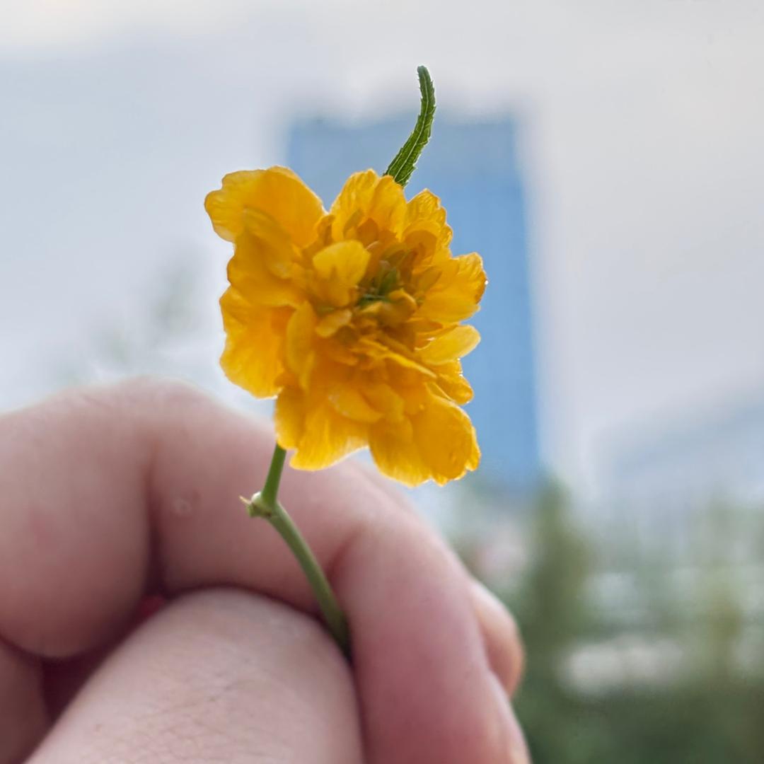☀️阳光明媚