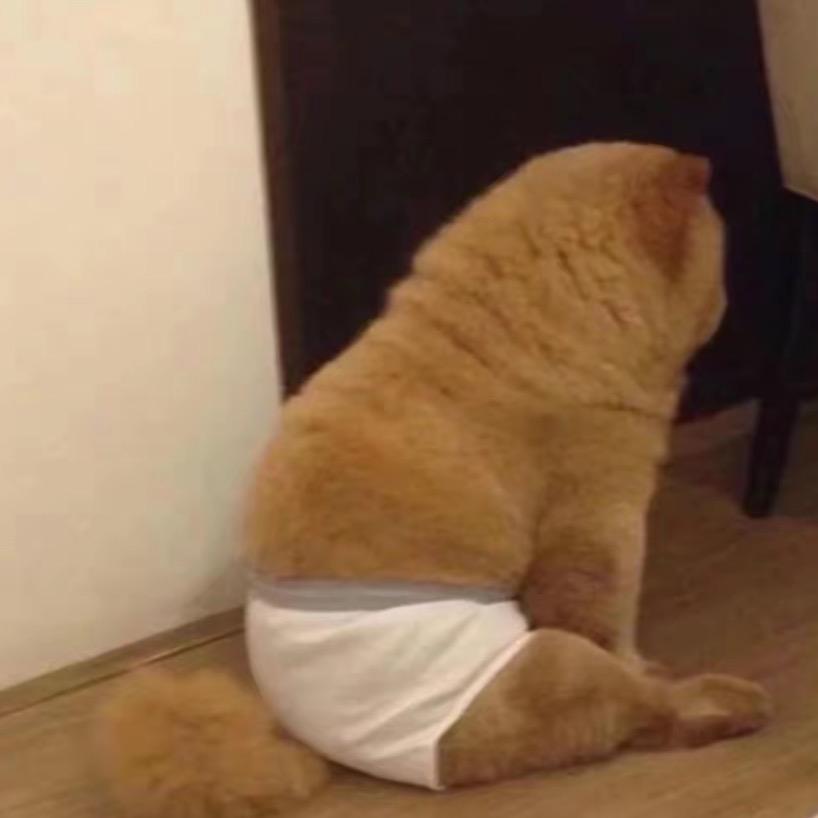 安星好剧