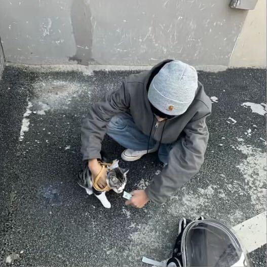 。。。。。。。。。。