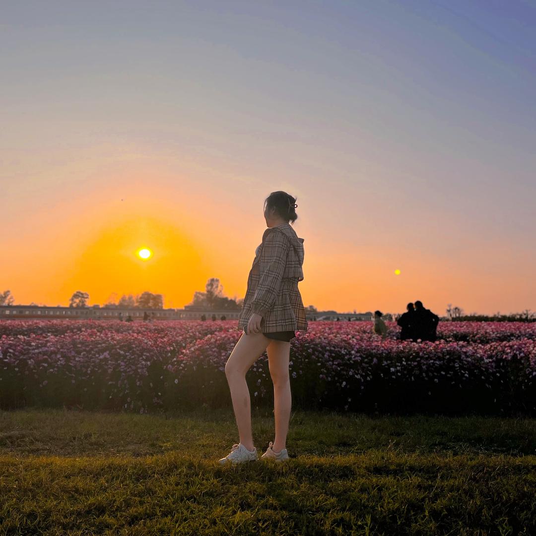 ding☀️☀️☀️