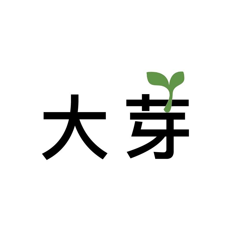 是大芽啊女装