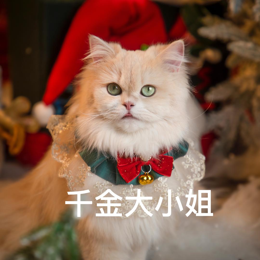 北京昀熹科技好货店