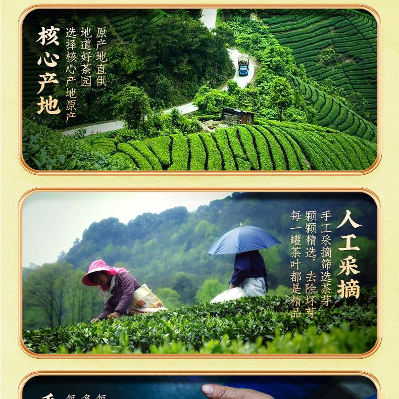 郁郁葱葱茶叶店