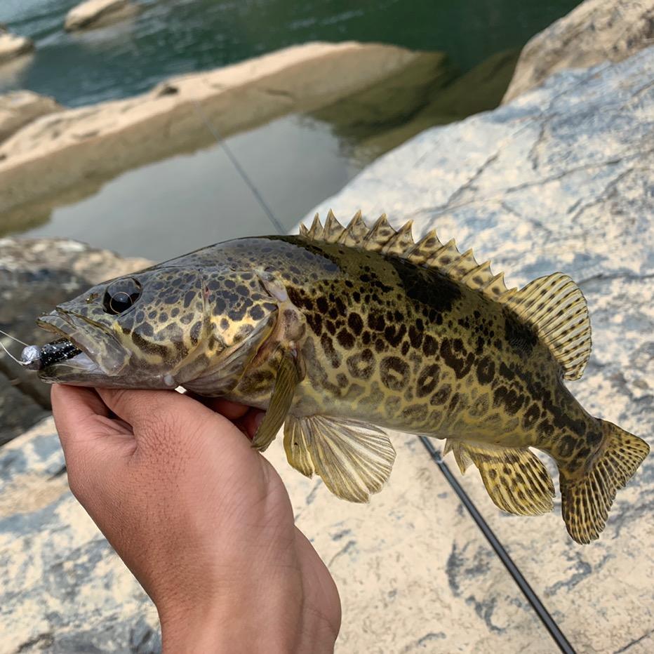 wm路亚🎣（回收售二手路亚装备）