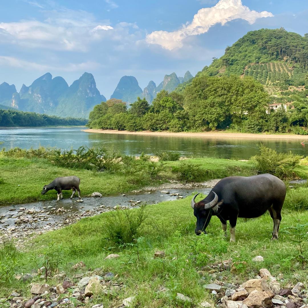 助农产品供销社@小安