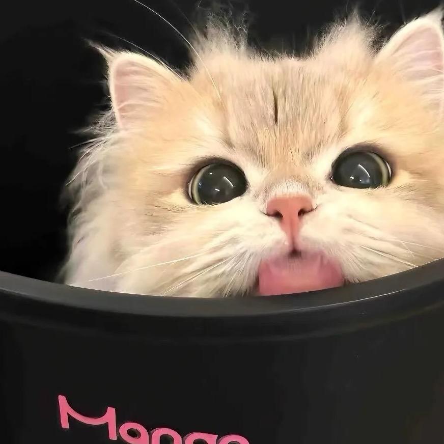 𝓐𝓾𝓻𝓸𝓻𝓪