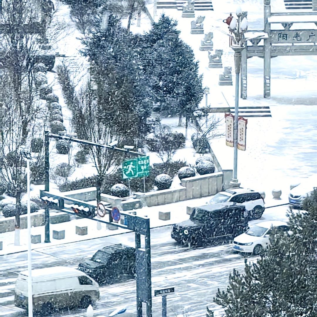 没和女人牵过手.