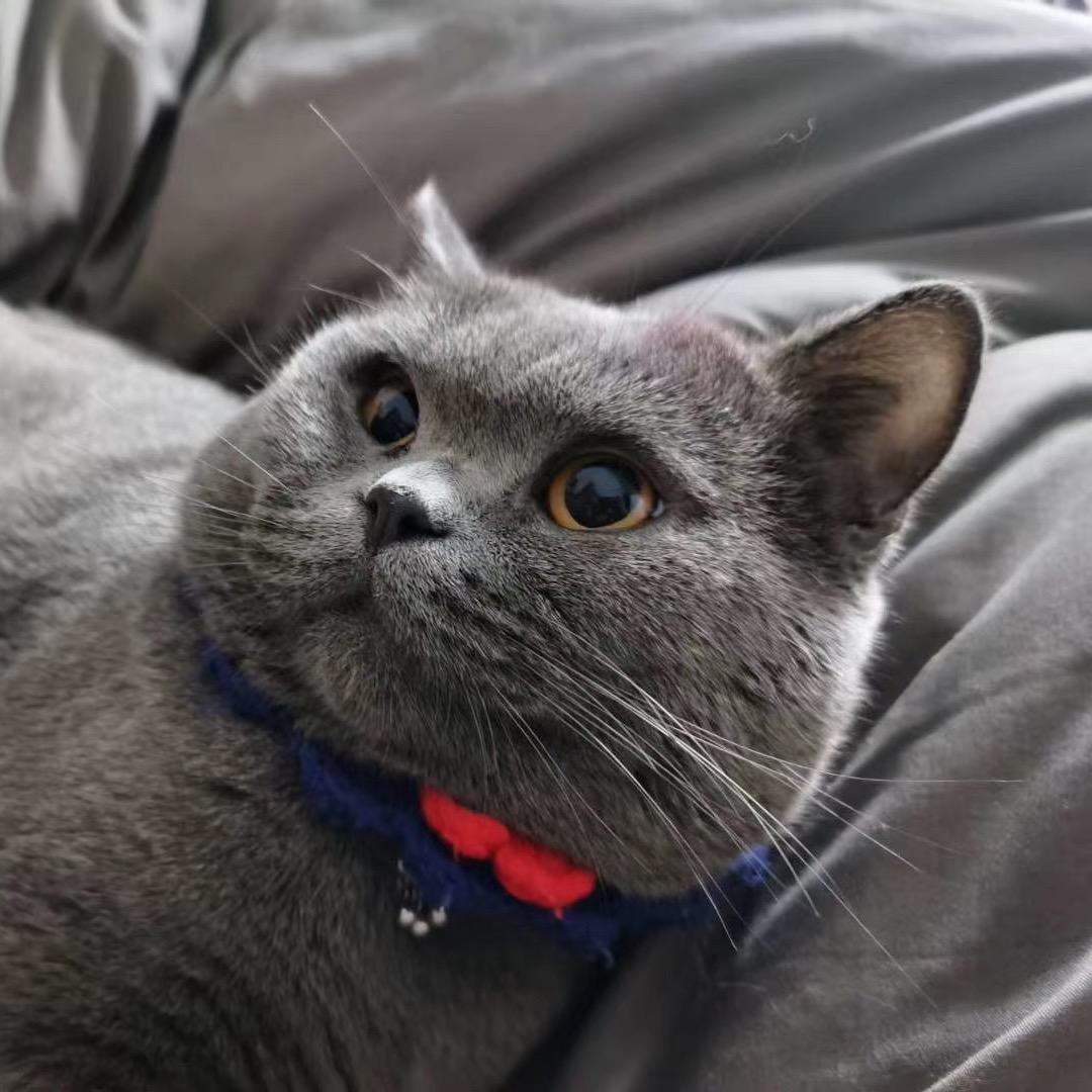 小李呀