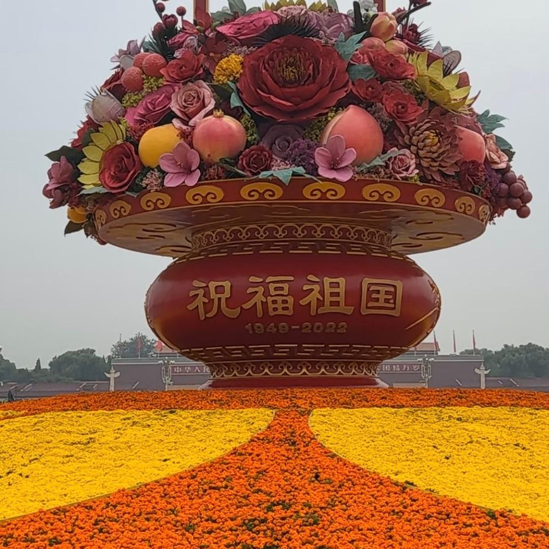 特种作业操作证取证培训