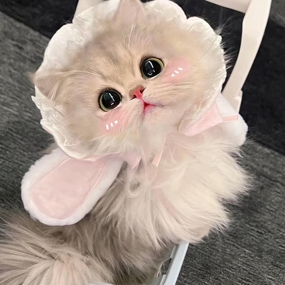 好运香菜