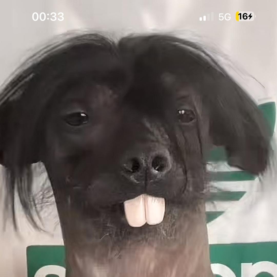 @老匹夫-🎣