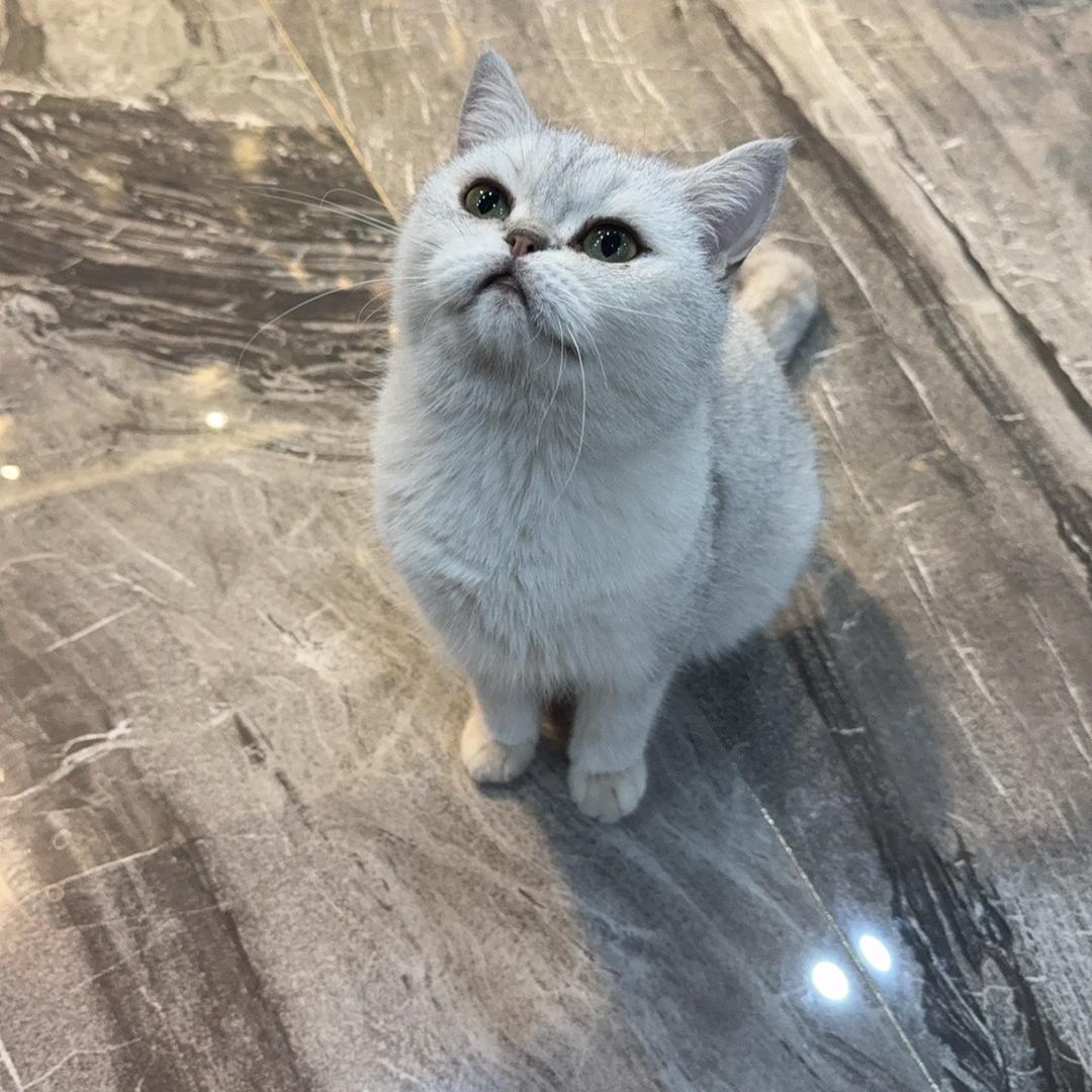 红山区女人服饰