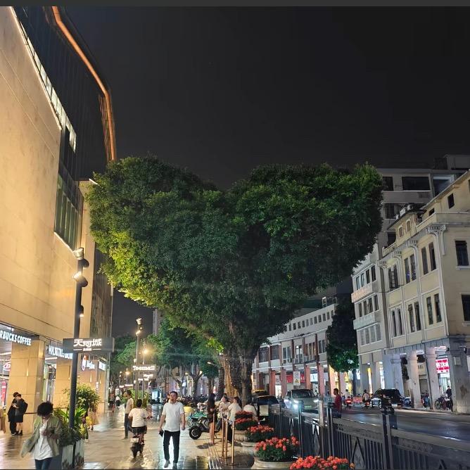 小林崽