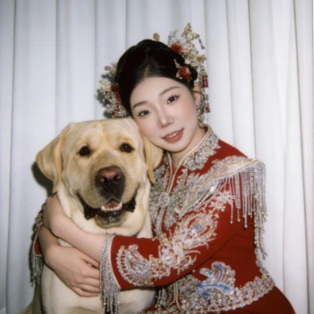昭昭如愿