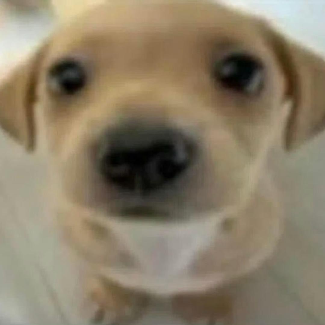 有点抑郁症犯了