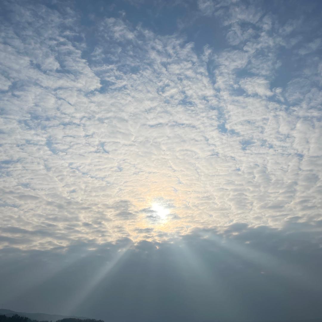 珍惜你的💖每一天