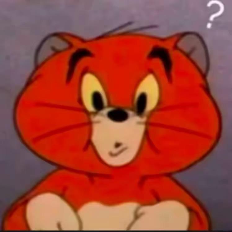 猫导x2