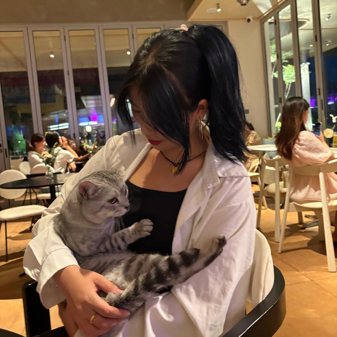笨拙的小鸡