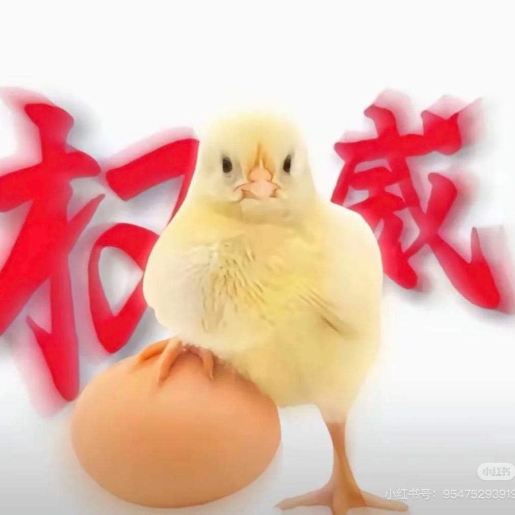 纪某