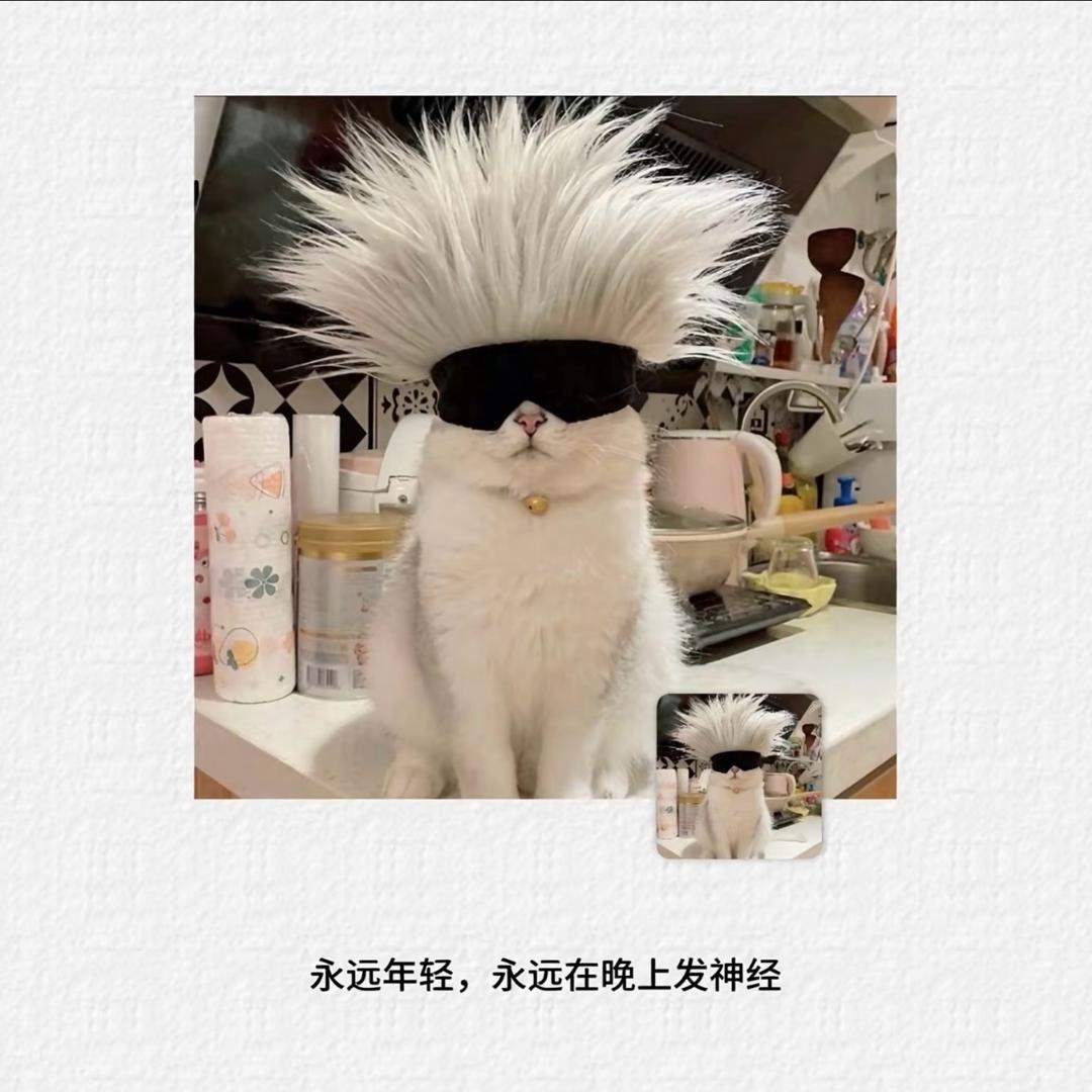 华创-蓝胖纸