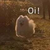 多晒太阳早睡觉