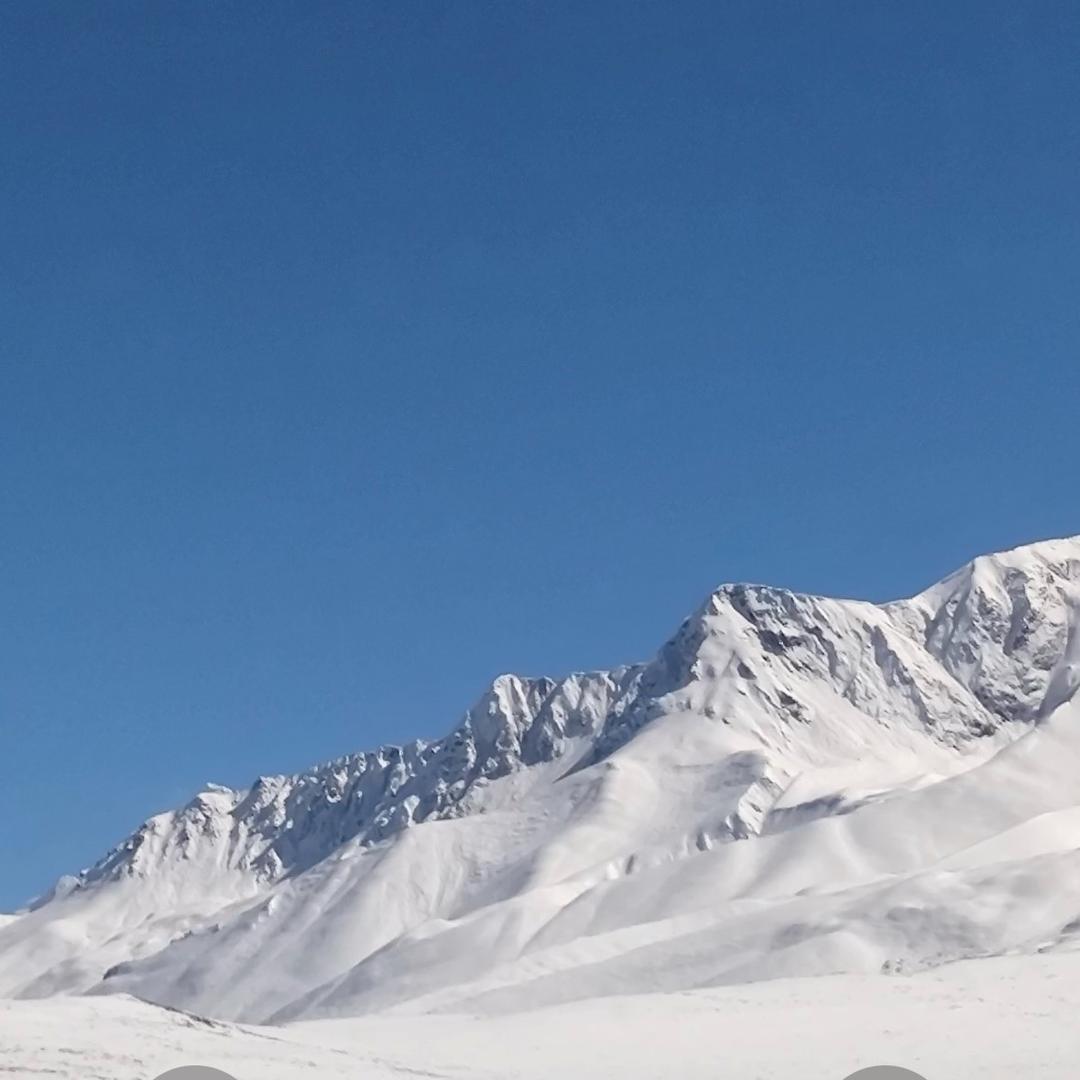 德国🇩🇪妥思上海办