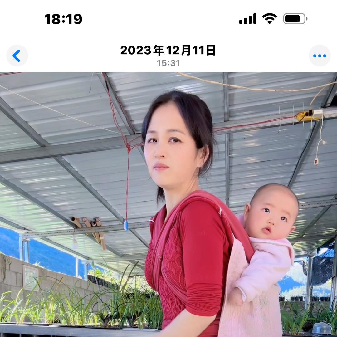 赵云  (农村人)
