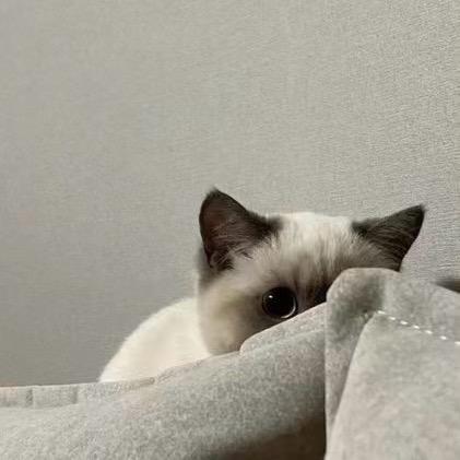 凡、