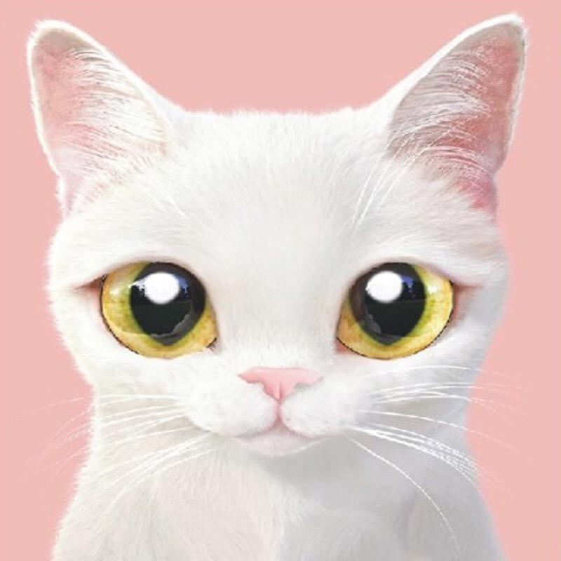 美猫汇原创女鞋子