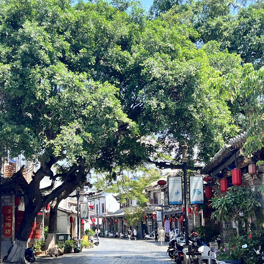 美丽夏天