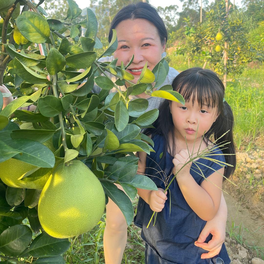 李婉茹