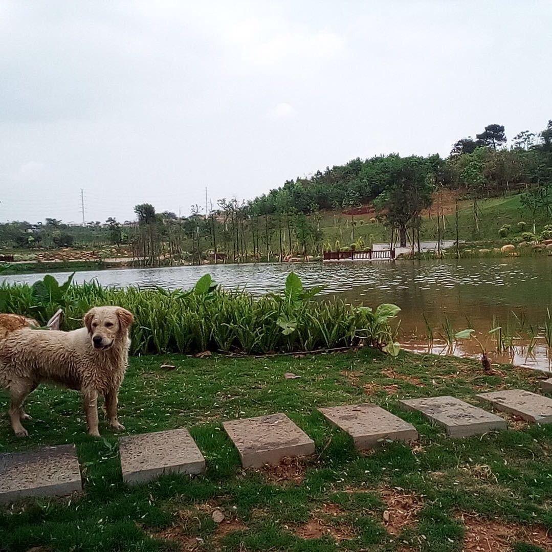 彬彬有礼闪亮登场