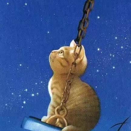 猫儿华尔兹