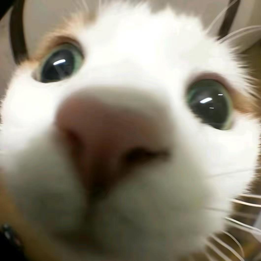 派大星的海洋裤