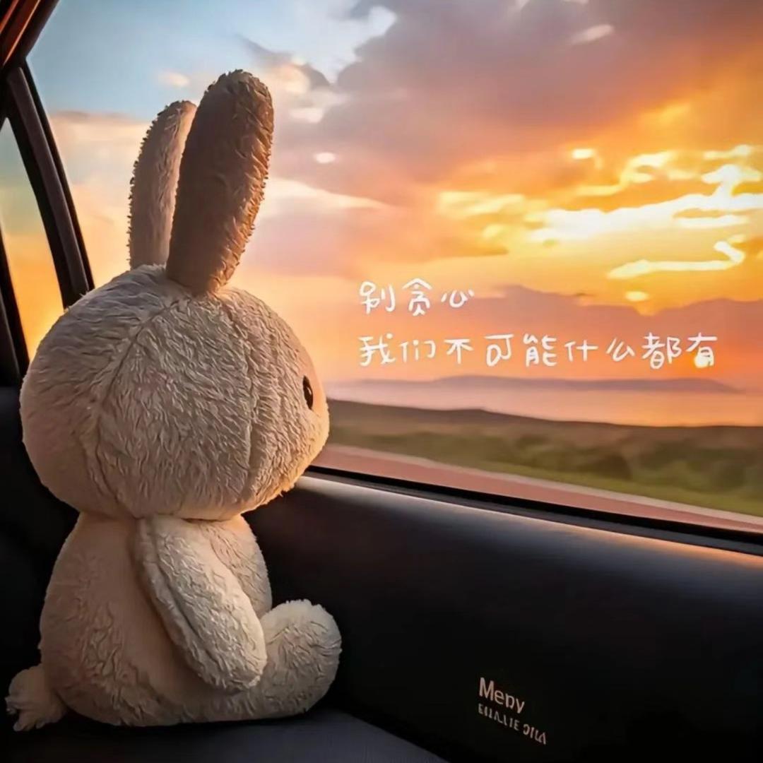 箱子🌻
