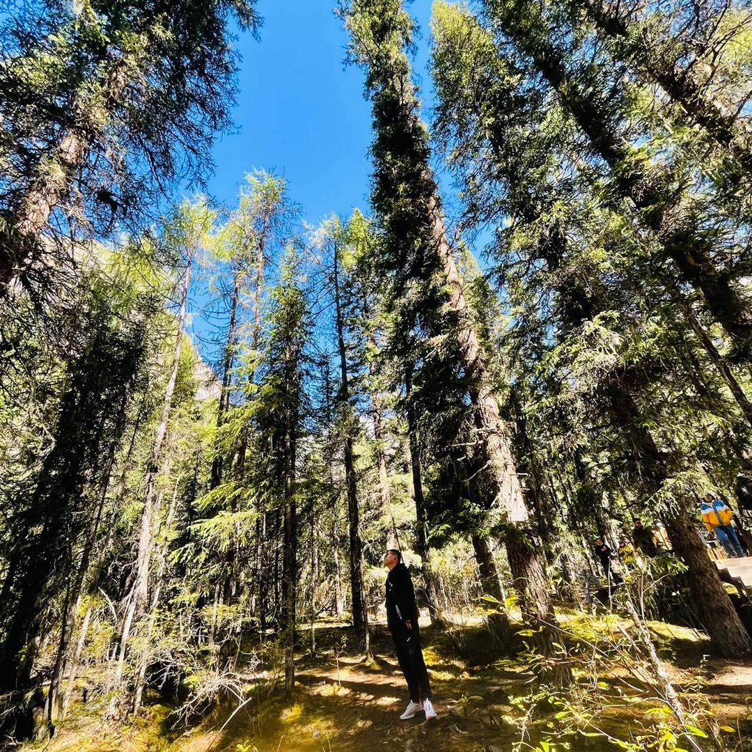 🌈🌈 🌈王子🌈 🌈🌈