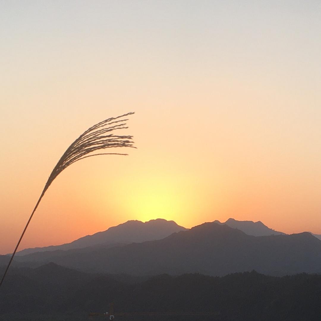 唔好话戒奶