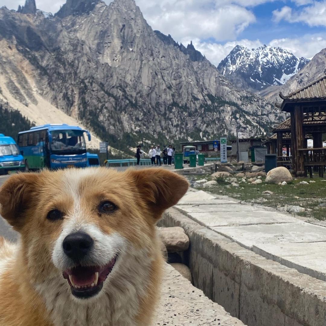 清清的日常分享