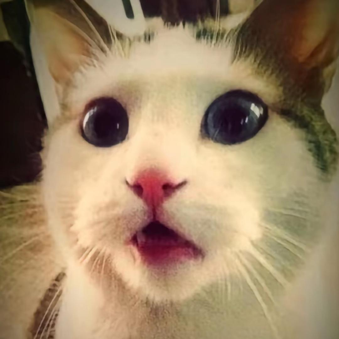 周肆