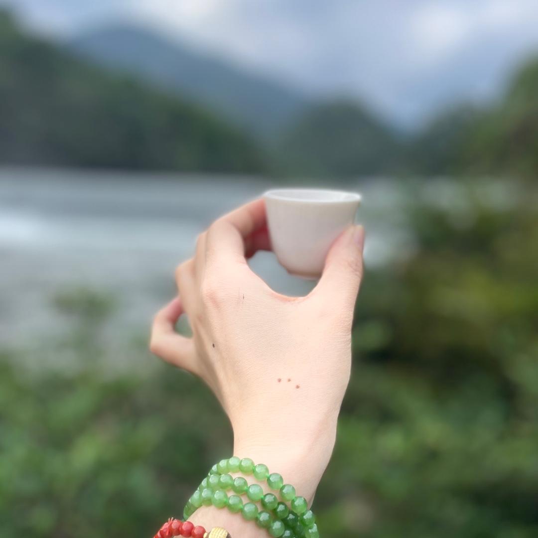 小七的茶·生活