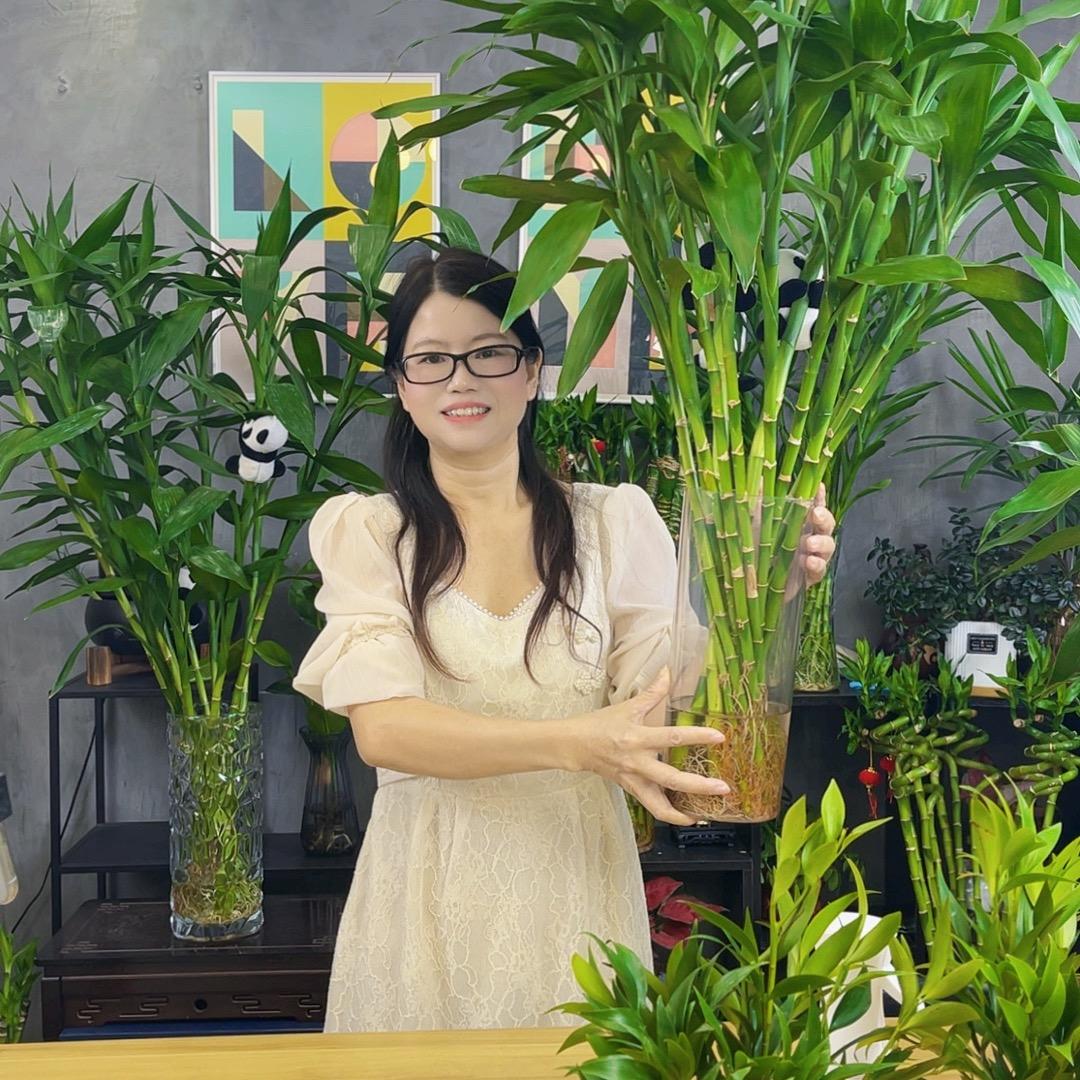 花卉绿植世界
