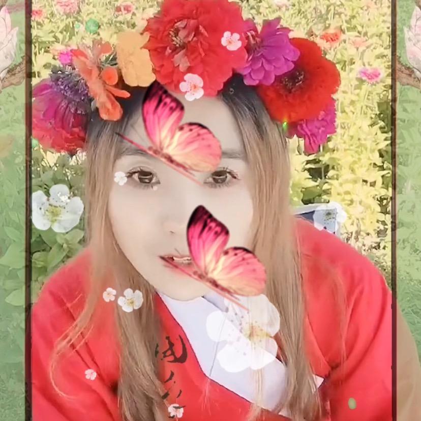 杨柳依依