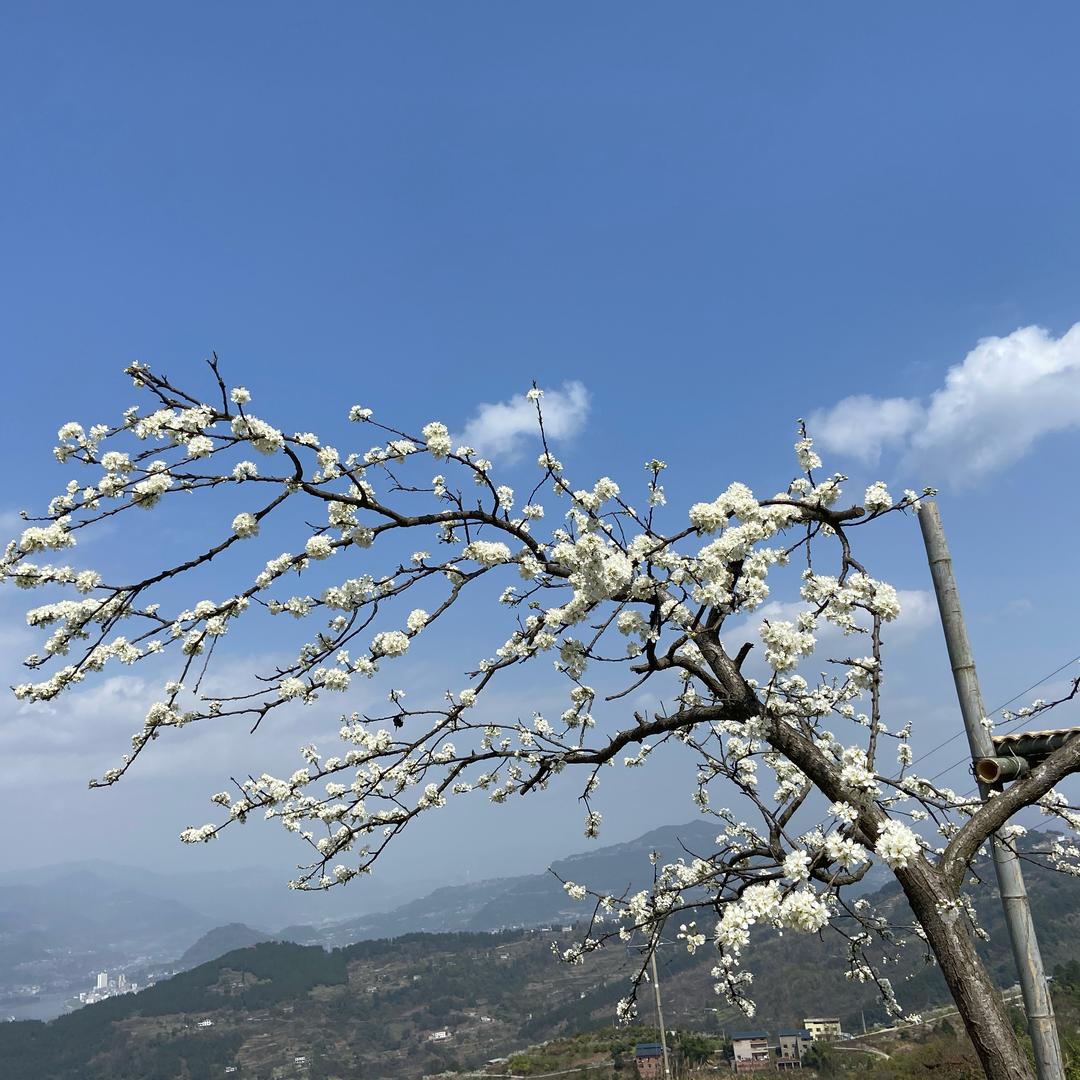 楠🌟